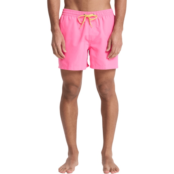 2026 Quiksilver Hombres Everyday Bañador De Surf Volley De 15